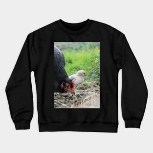 The single child (Hen and chick) Crewneck Sweatshirt